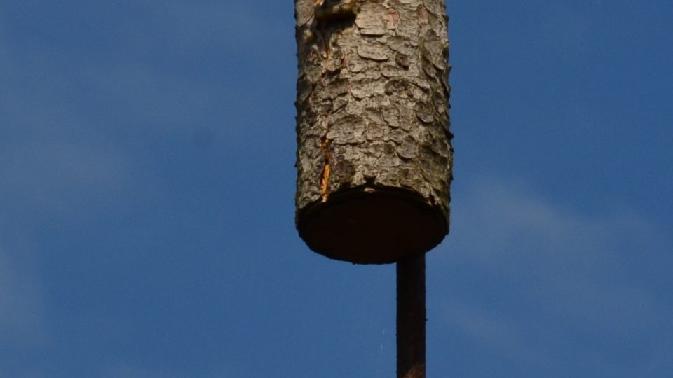 Ptačí budka Jaroslava Dudka, Nové Město na Moravě