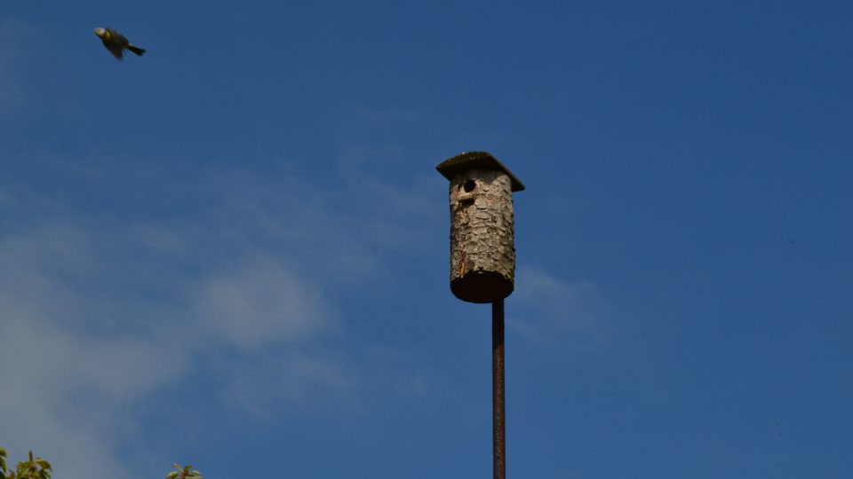 Ptačí budka Jaroslava Dudka, Nové Město na Moravě