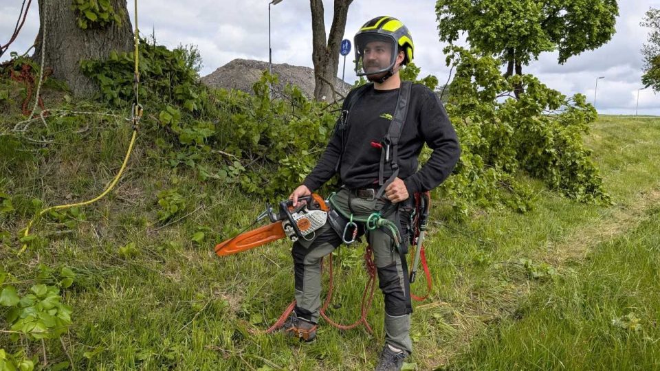 Práce arboristů | foto: Dáša Kubíková, Český rozhlas Práce arboristů