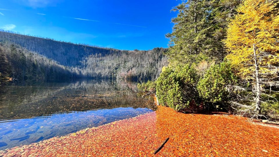 Černé jezero | foto: Veronika Kočí Černé jezero