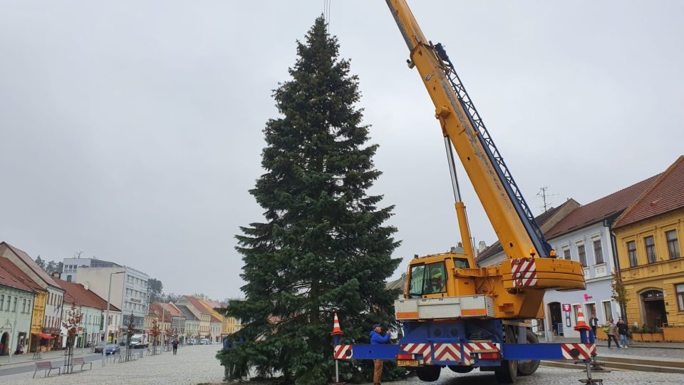 Třebíč, vánoční strom 2022