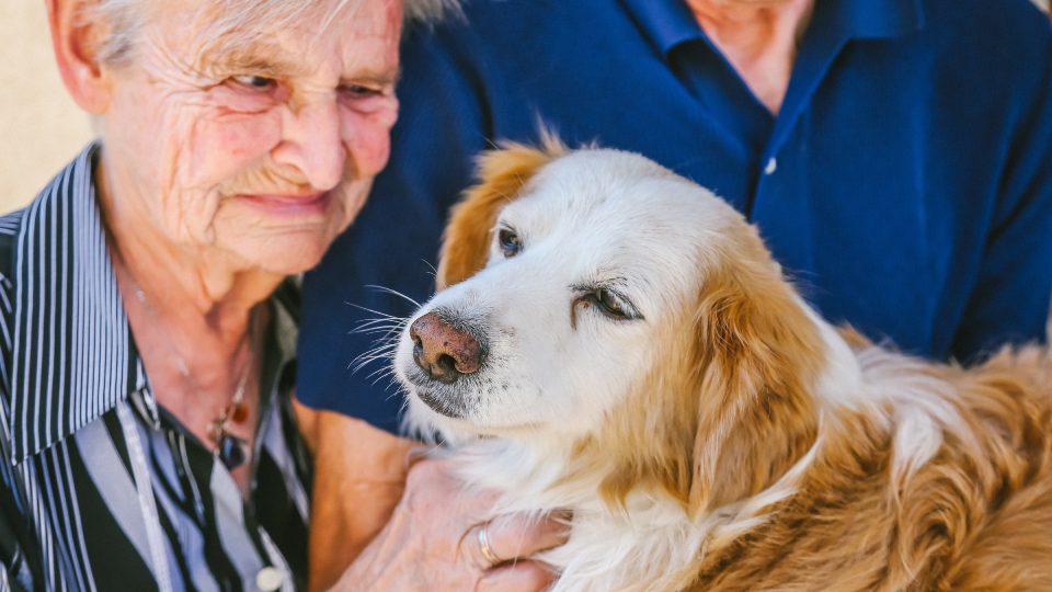 Pittauerovi se svým věrným čtyřnohým přítelem