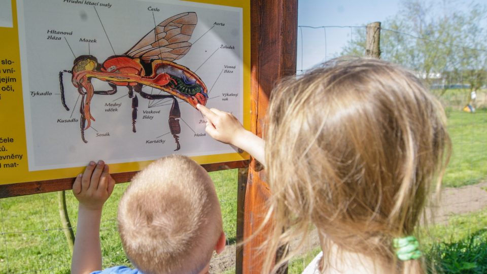 V Trnové se chystá včelařský kroužek