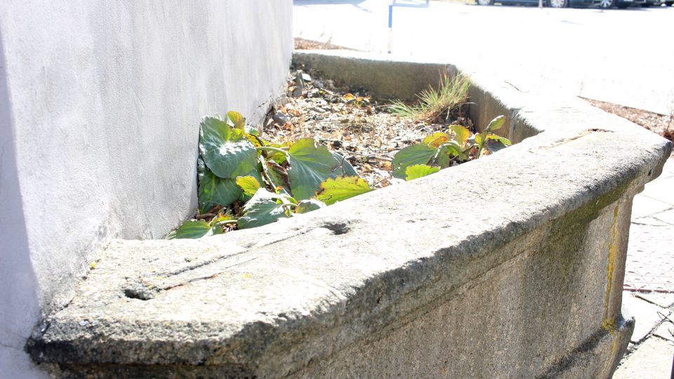 02_1.jpg | foto: Irena Šarounová, Český rozhlas 02_1.jpg