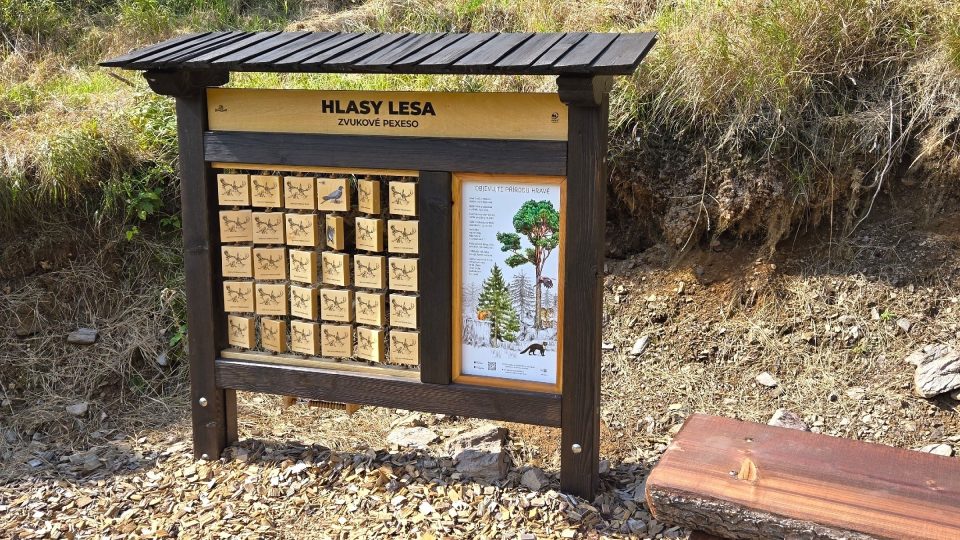 Cesta stezkou kombinuje hru s poznáváním přírody | foto: Vladislava Wildová, Český rozhlas Cesta stezkou kombinuje hru s poznáváním přírody