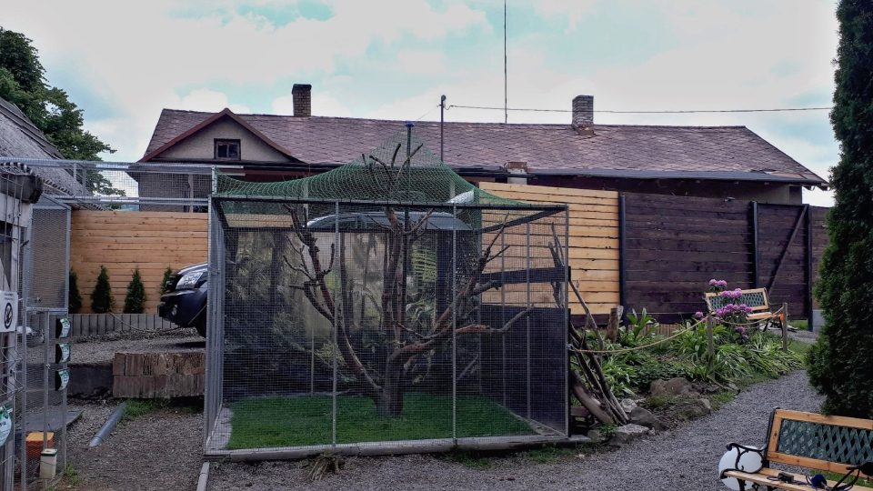 Minizoo je postavena na původní zahradě u rodinného domku | foto: Romana Kubicová, Český rozhlas Minizoo je postavena na původní zahradě u rodinného domku