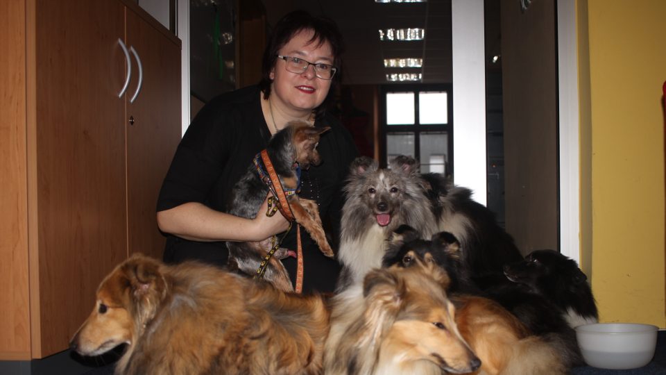 Iva Simoněnková, chovatelka psů plemene Sheltie