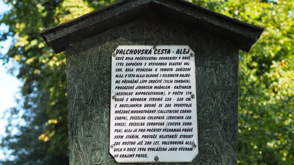 Valchovská alej, Počátky, Vysočina