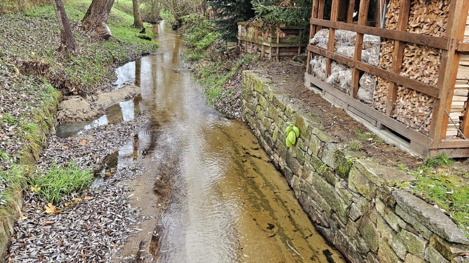 Potok pod rybníkem Řibřid protéká Mrákotínem