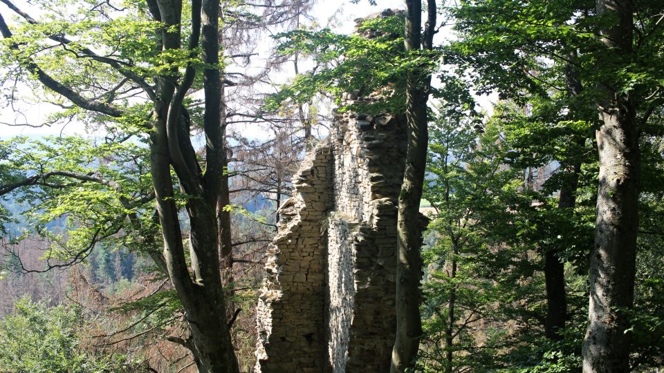 Zřícenina hradu Štamberk, Vysočina