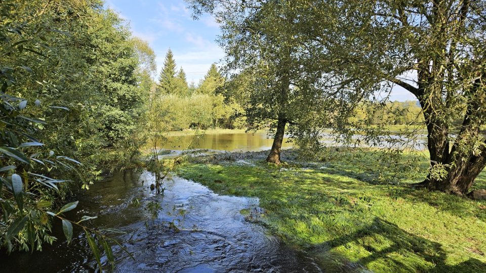 Svratka v Křižánkách už je téměř zpět na svém běžném průtoku