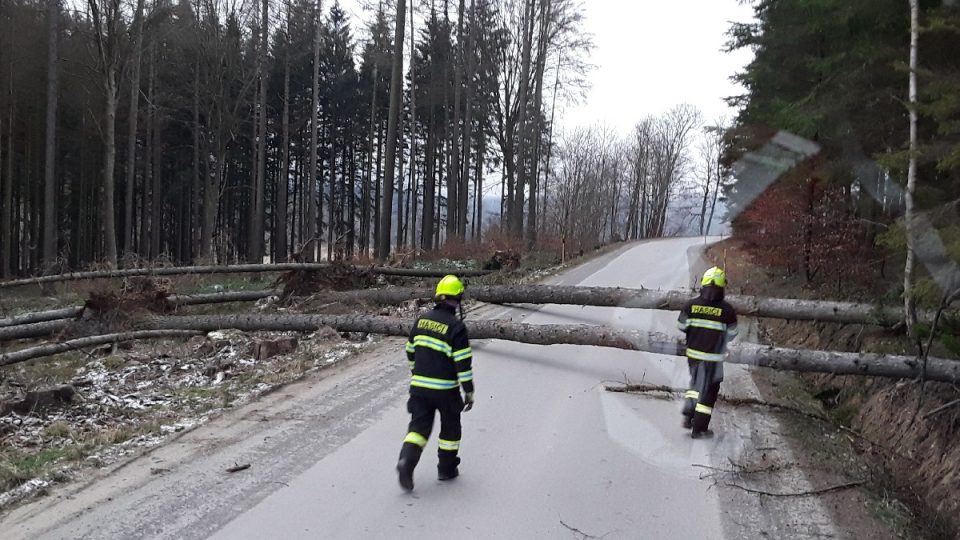 Vichřice, polámané stromy, prosinec 2020, Vysočina