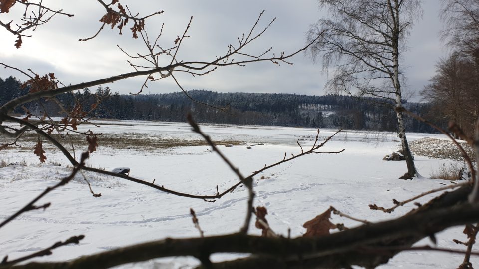 Pařezitý rybník, Telč