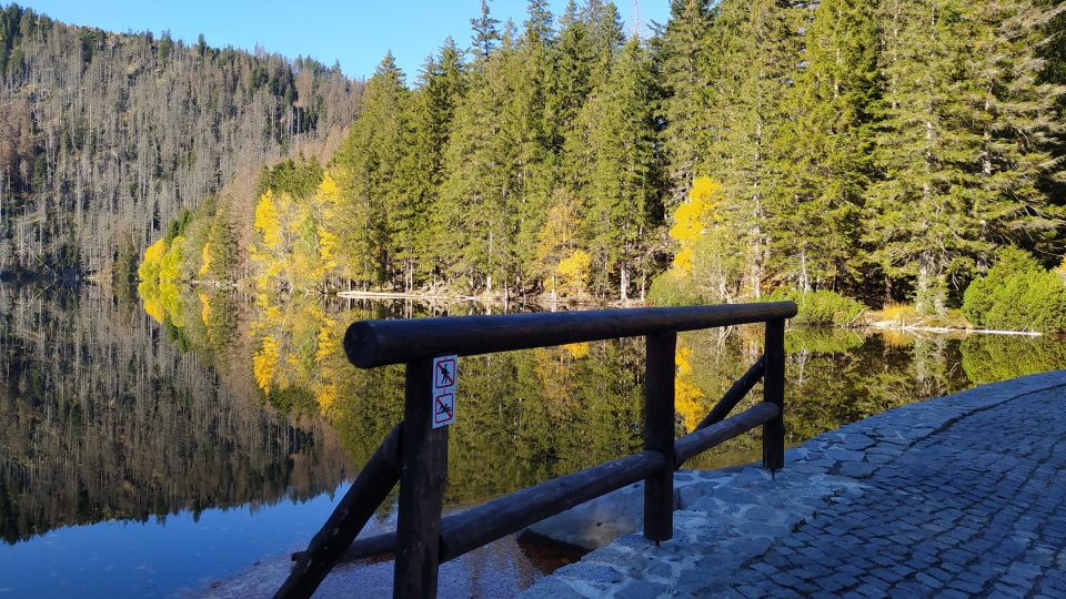 U Černého jezera | foto: Kateřina Dobrovolná, Český rozhlas U Černého jezera