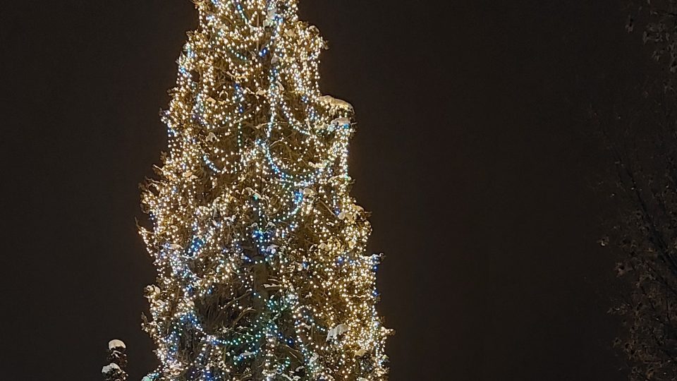 Vánoční strom v Žirovnici