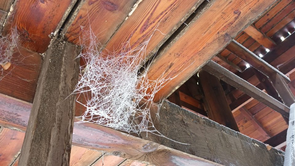 Mráz dokáže krásně kouzlit