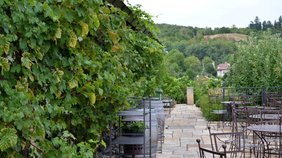 Posezení u vinotéky ve vinici svaté Kláry