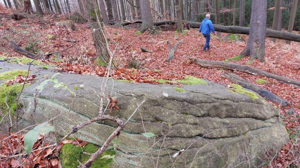 Okolí Javořice je známým geoparkem. V této oblasti se těží žula. Nejznámější je obelisk z Mrákotína, který stojí na Pražském hradě