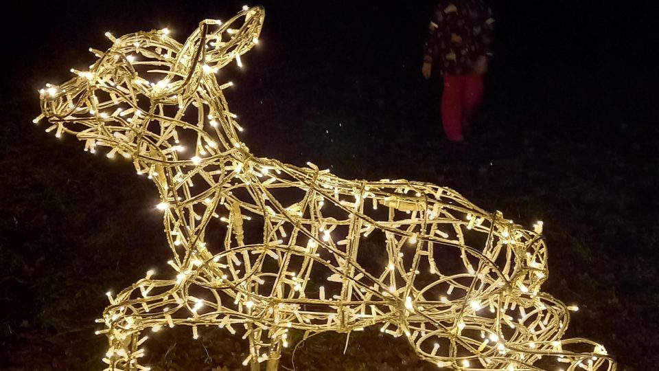 Vánoční výzdobu v zámecké zahradě ve Světlé nad Sázavou zachytila Vladimíra Brávková