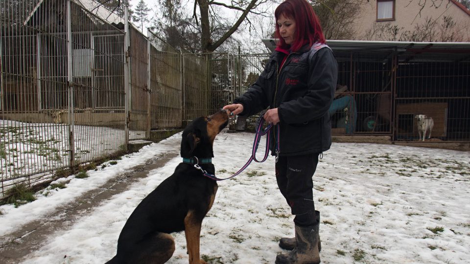 Bessy potřebuje pána, který jí dá jasná pravidla