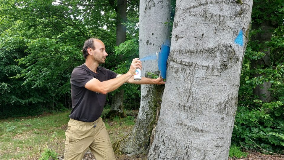 Označení slouží pro lesníky, aby věděli, které stromy nekácet