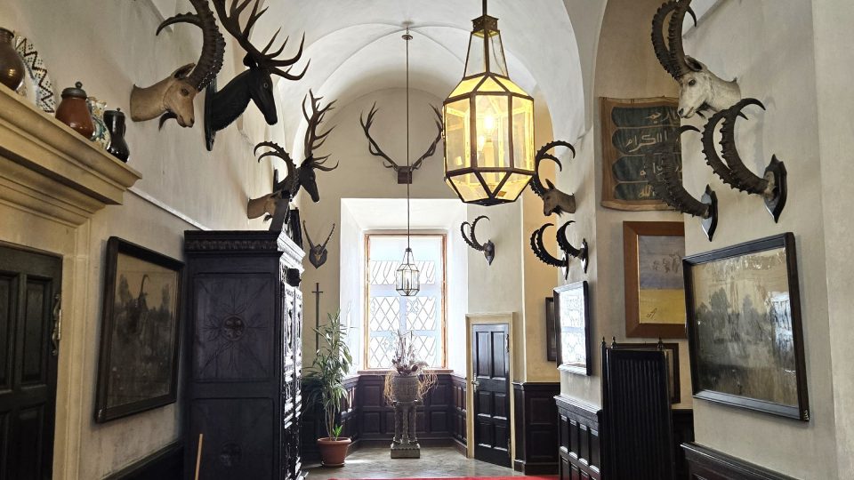Součástí mobiliáře jsou i původní lovecké trofeje Colloredo-Mansfeldů | foto: Vladislava Wildová, Český rozhlas Součástí mobiliáře jsou i původní lovecké trofeje Colloredo-Mansfeldů