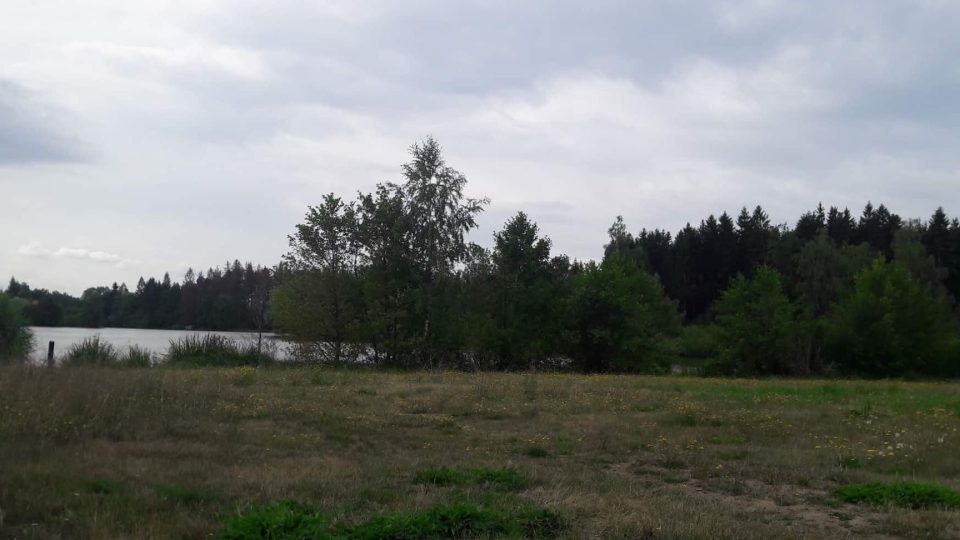 Pávovský rybník, Jihlava
