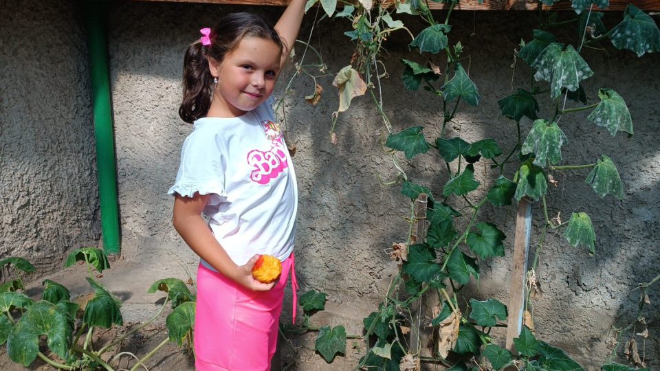 Žáci jemnické základní školy po letech znovu pečují o školní skleník