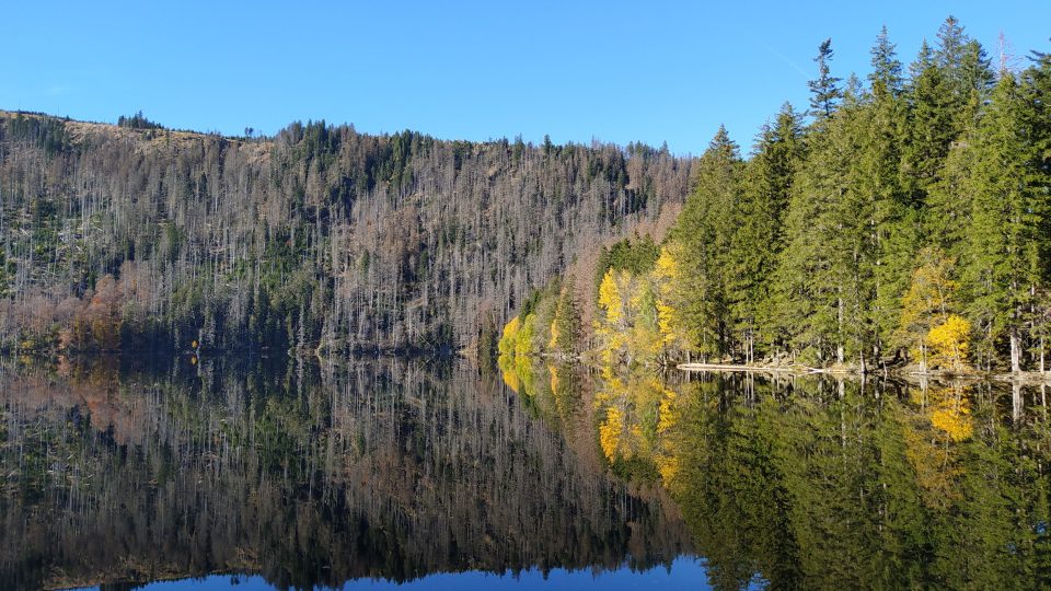 Černé jezero | foto: Kateřina Dobrovolná, Český rozhlas Černé jezero