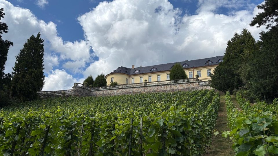 U zámku Zbiroh se nachází nejvýše položená vinice v Čechách, kterou kdysi založil císař Rudolf II.