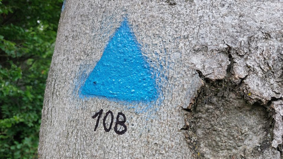 Modrý trojúhelník na kmenu značí doupný strom