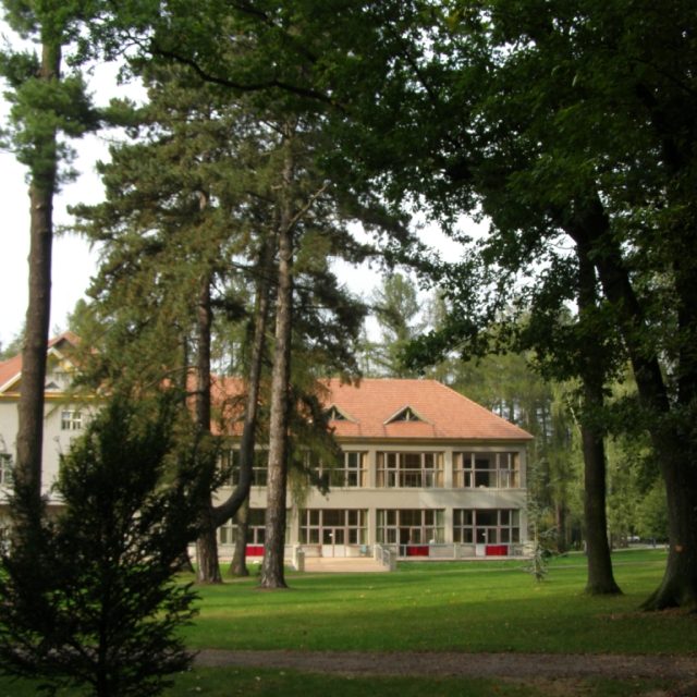 Letité stromy u pavilonu C | foto: Jana Zavřelová