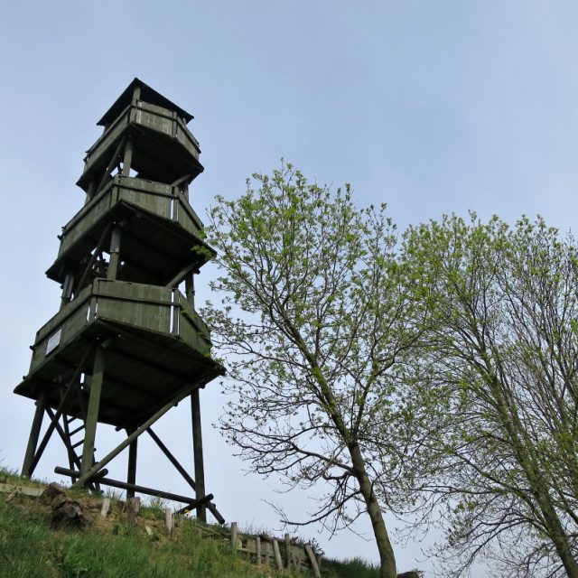 Rozhledna Jahůdka | foto: Tereza Brázdová,  Český rozhlas