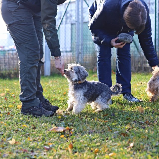 Beny a Filip v třebíčském útulku | foto: Vít Hrdlička,  Český rozhlas