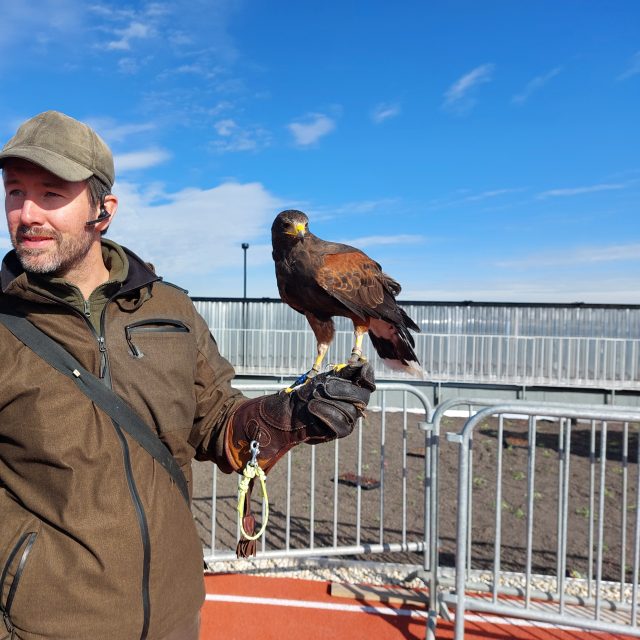 Sokolník Marcel Kosina | foto: Irena Šarounová,  Český rozhlas