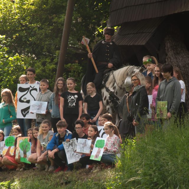 Žižkův dub,  Náměšť nad Oslavou | foto: Hana Matoušková,  Hana Matoušková