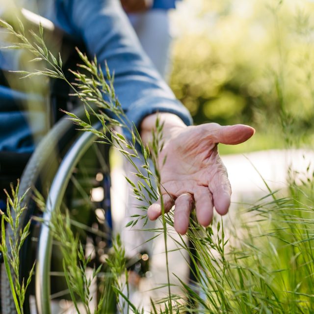 Stáří | foto: Shutterstock