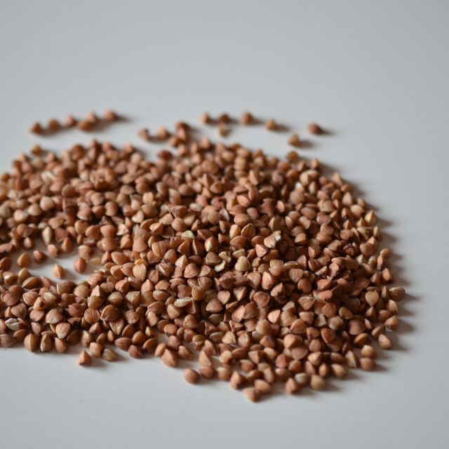 Pohanka  | foto: Jolana Nováková,  Český rozhlas