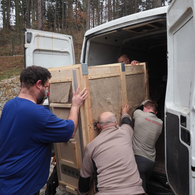 Transport zvěře | foto: Simona Kubičková