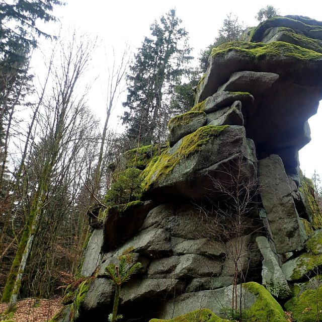 Šelmberk v Českém lese | foto: Martina Sihelská,  Český rozhlas