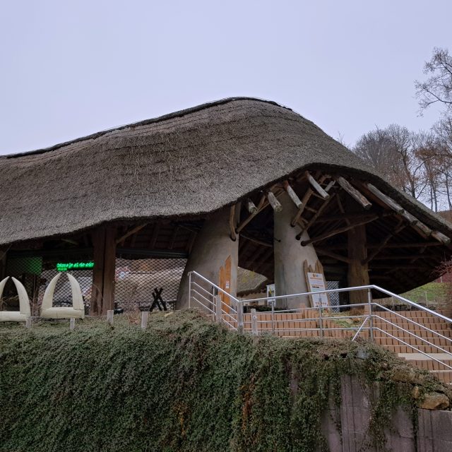 ZOO Jihlava | foto: Irena Šarounová,  Český rozhlas