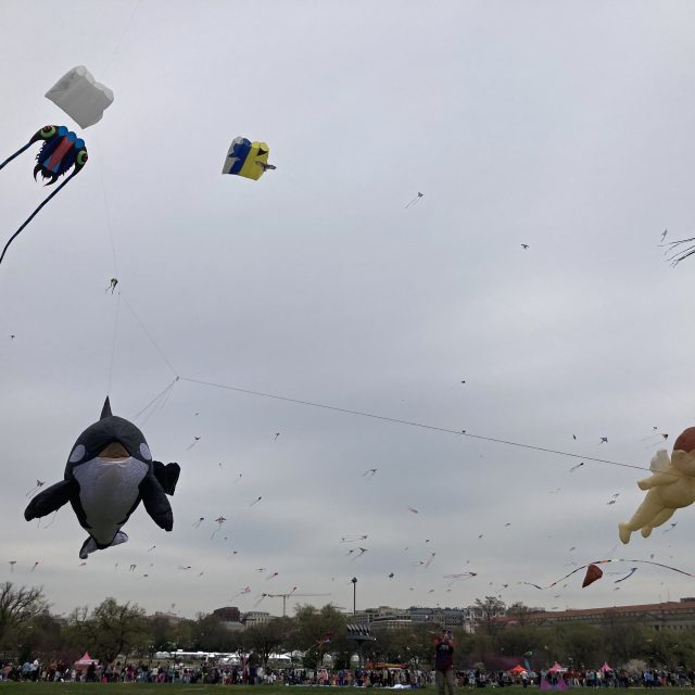 Drak musí být lehký a zároveň pevný,  jinak se kreativitě meze nekladou | foto: Pavel Novák,  Český rozhlas