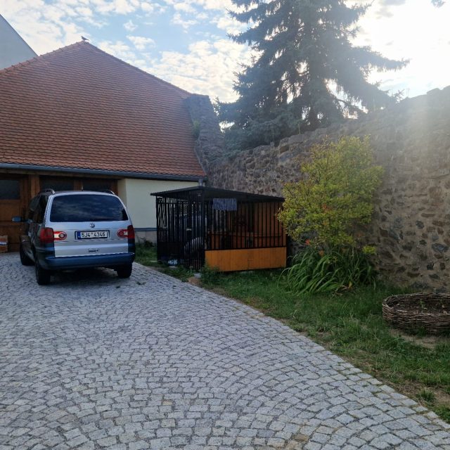 Kotec azylového domu pro psy v Jihlavě | foto: Tereza Pešoutová,  Český rozhlas