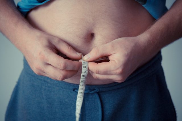 Obezita je jednou z civilizačních chorob. Čeští vědci zkoumají vlastnosti tukové tkáně,  aby zjistili,  v čem spočívá náchylnost k tloustnutí | foto: Fotobanka Pixabay