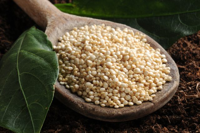 Quinoa | foto: Fotobanka Profimedia