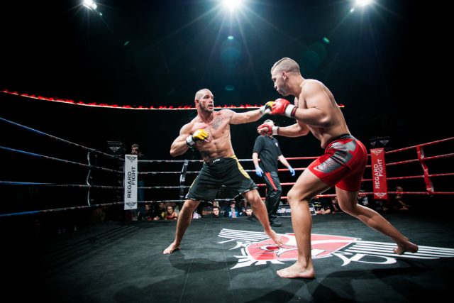 Umění MMA,  ilustrační foto | foto:  Tipsport Arena Liberec