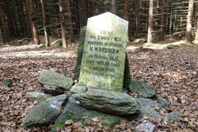Podle nápisu na památníku vážil vlk skoro 44 kilogramů | foto: Irena Šarounová,  Český rozhlas