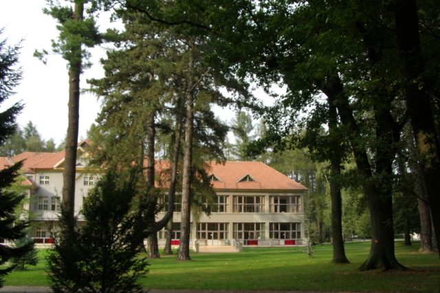 Letité stromy u pavilonu C | foto: Jana Zavřelová