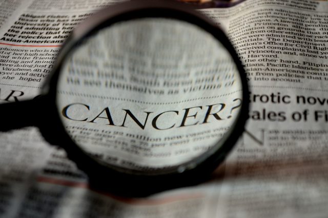Rakovina,  ilustrační foto | foto: Fotobanka Pixabay