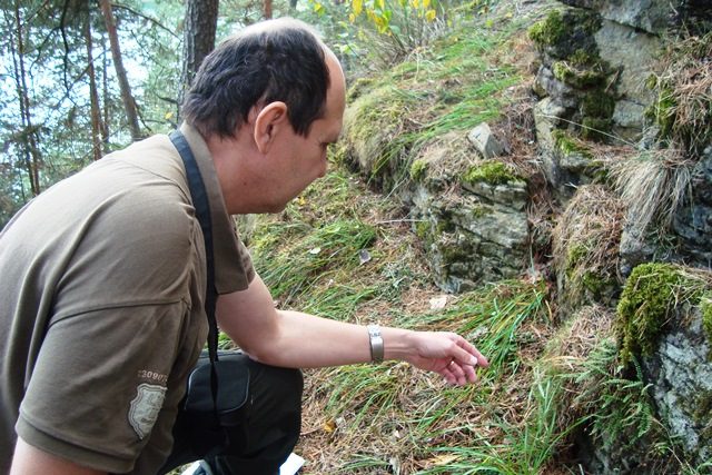 Ekolog Martin Klaudys ukazuje skalku,  kde roste kuřička hadcová | foto: Věra Hájková,  Český rozhlas